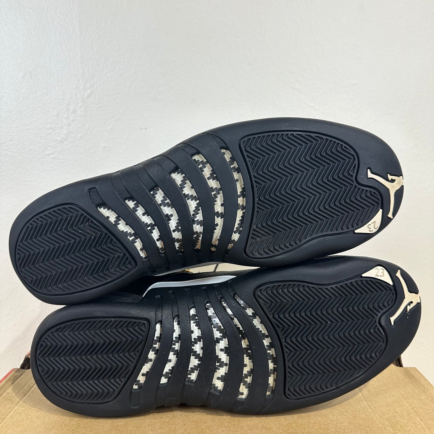 Air Jordan 12 The Master Sz 13