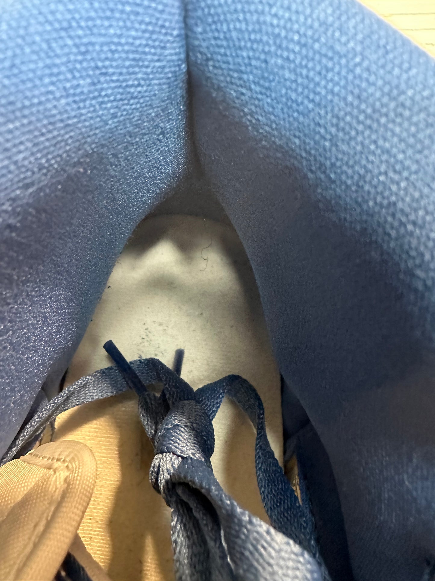 Air Jordan 1 High True Blue Sz 9.5