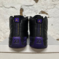 Air Jordan 12 Field Purple Sz 11