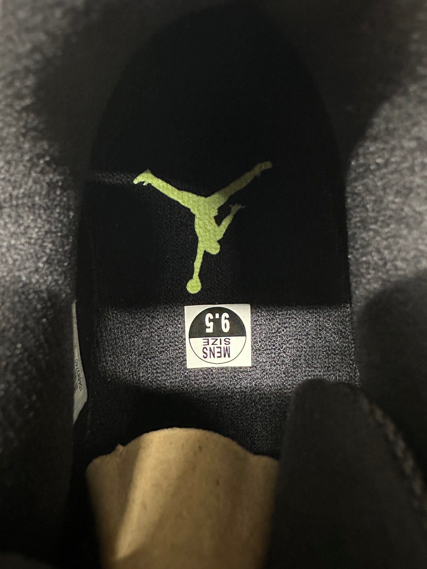 Air Jordan 11 Low Green Snakeskin Sz 9.5 DS