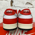 Nike Dunk Low Chicago Split Sz 10.5 DS