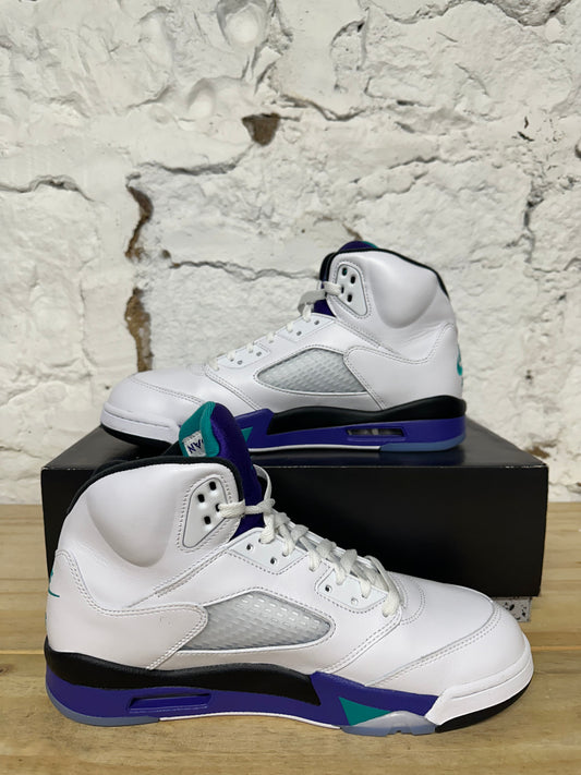 Air Jordan 5 Grape Sz 11