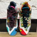 Nike LeBron 11 What the LeBron Sz 9.5 DS
