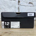 Air Jordan 10 Cool Grey Sz 12