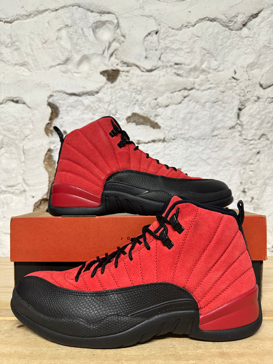 Air Jordan 12 Reverse Flu Game Sz 10