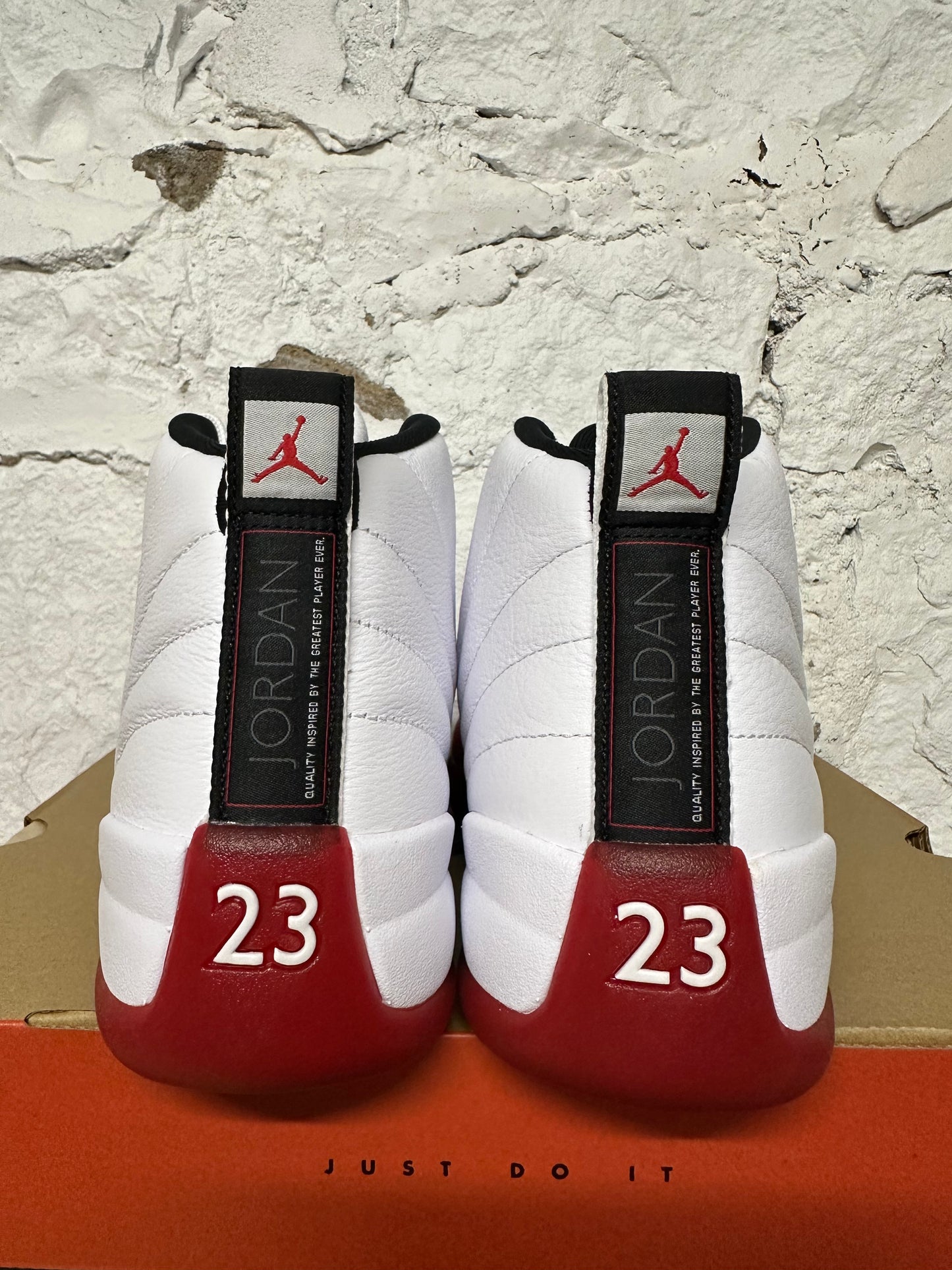 Air Jordan 12 Cherry Sz 12 DS