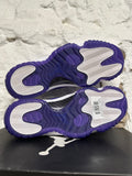 Air Jordan Future Concord Sz 10.5 DS
