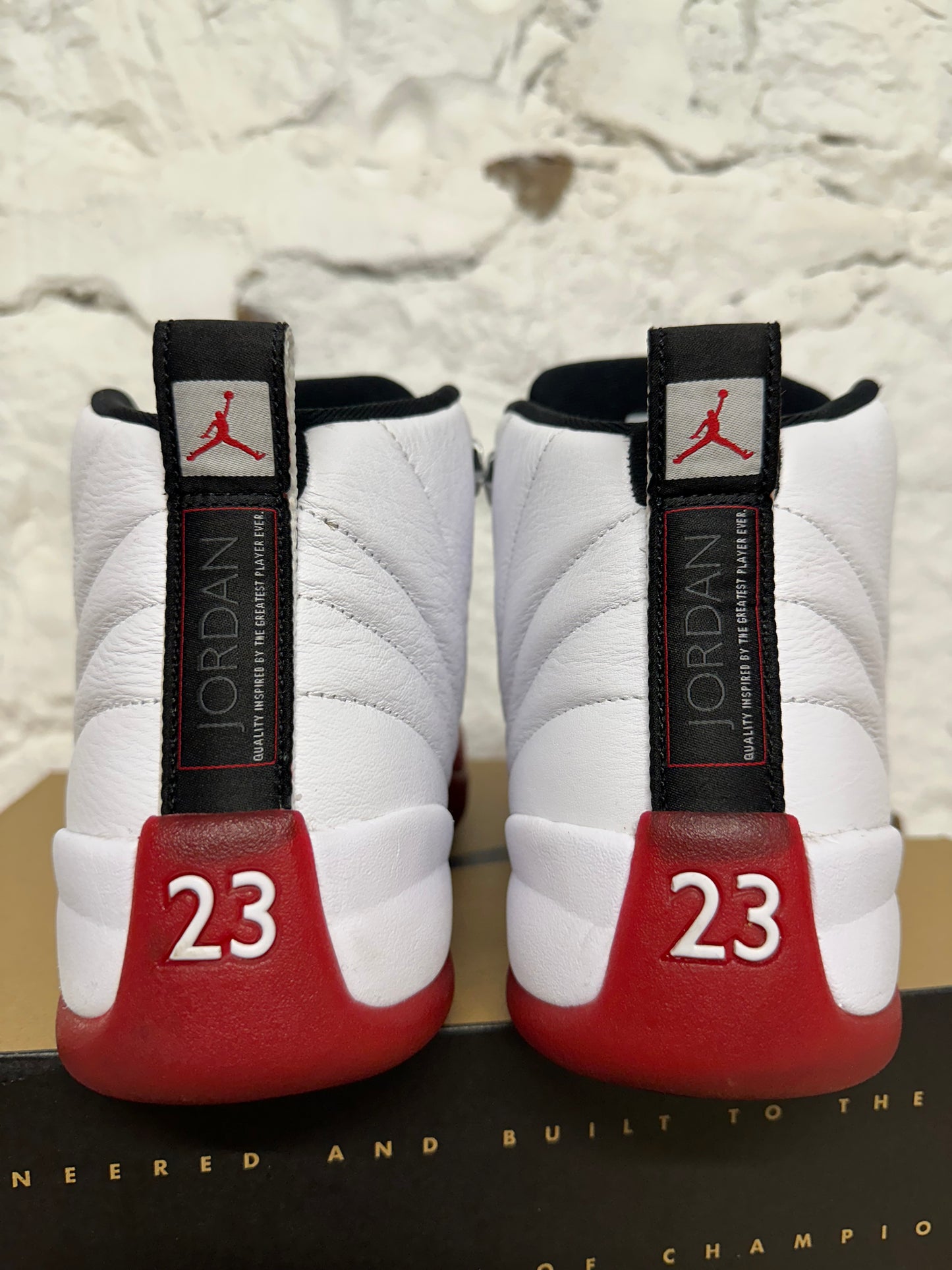 Air Jordan 12 Cherry Sz 11