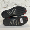 Air Jordan 12 Reverse Flu Game Sz 8.5