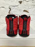 Air Jordan 12 Reverse Flu Game Sz 8