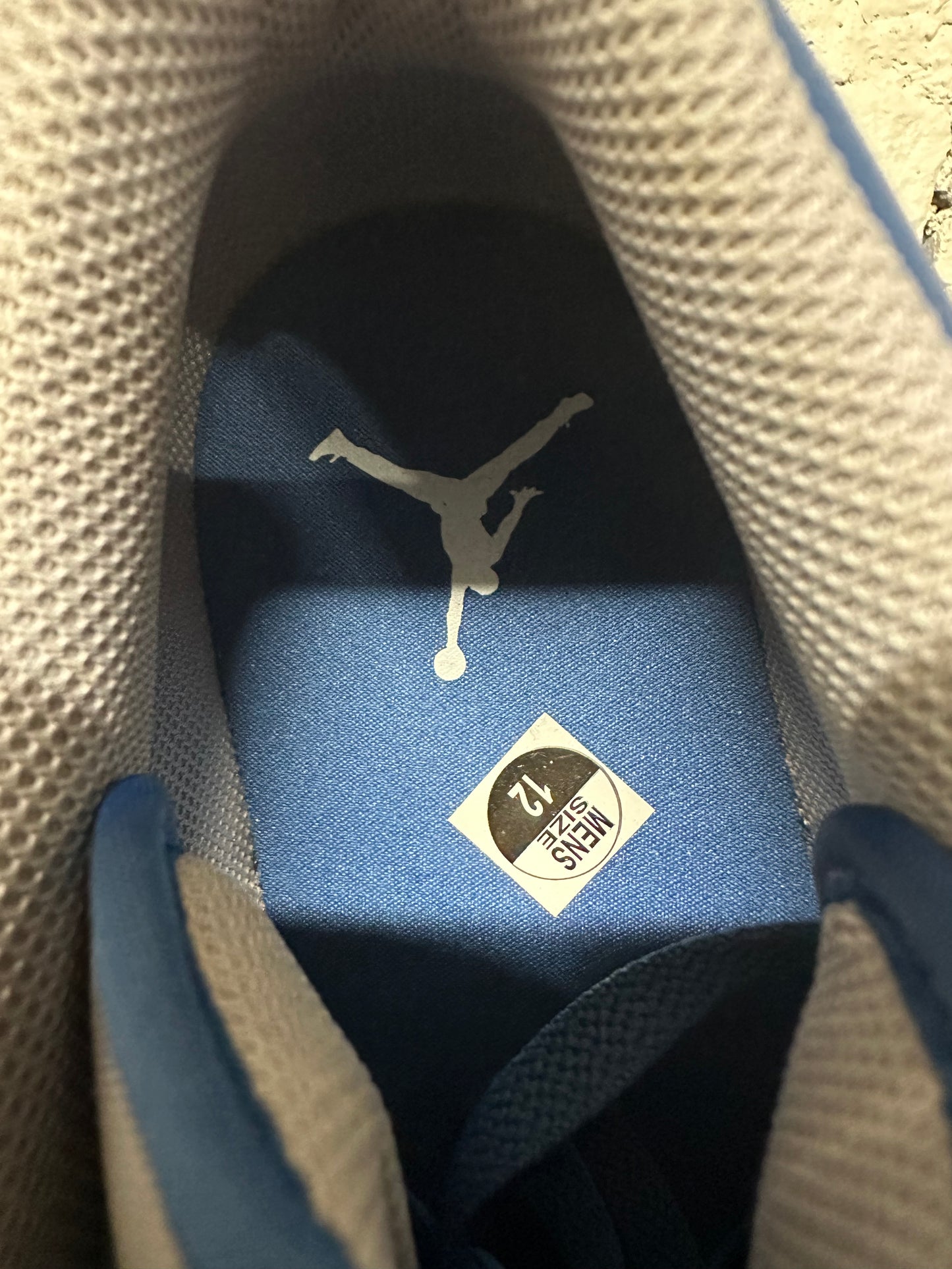 Air Jordan 1 Low True Blue Sz 12 DS