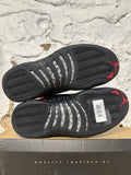 Air Jordan 12 Reverse Flu Game Sz 9