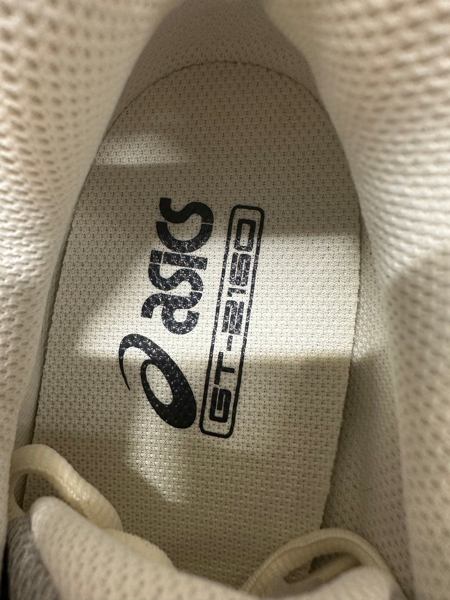 Asics GT-2160 Cream Bamboo Sz 9.5 DS