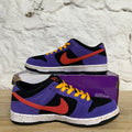 Nike SB Dunk Low ACG Terra Sz 9 DS