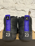 Air Jordan 12 Dark Concord Sz 9