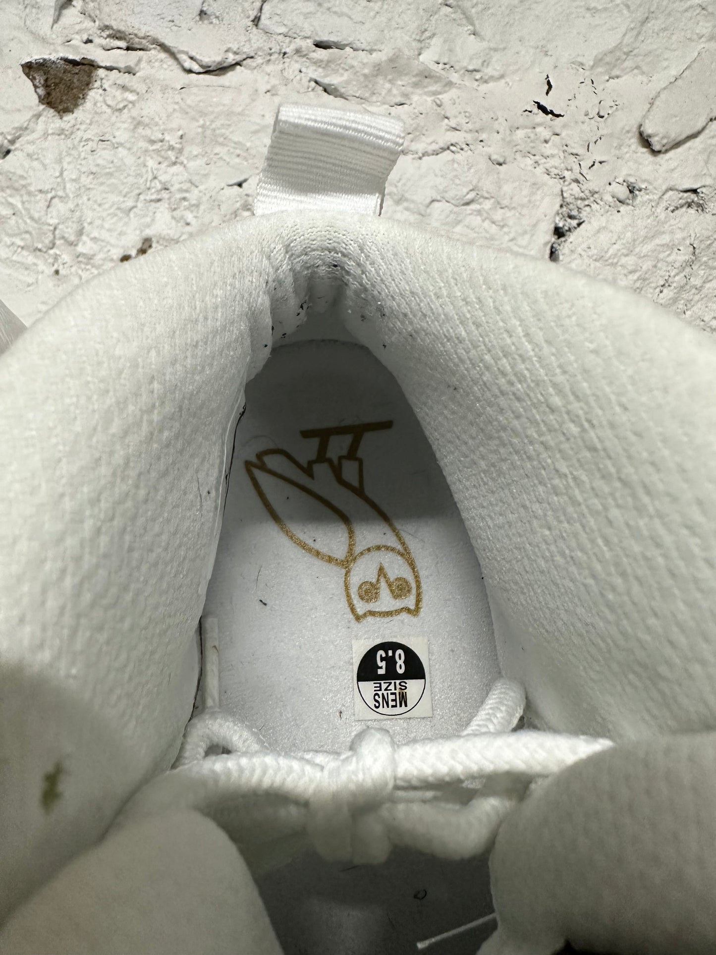Air Jordan 10 OVO White Sz 8.5