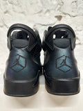 Air Jordan 6 All-Star Chameleon Sz 13