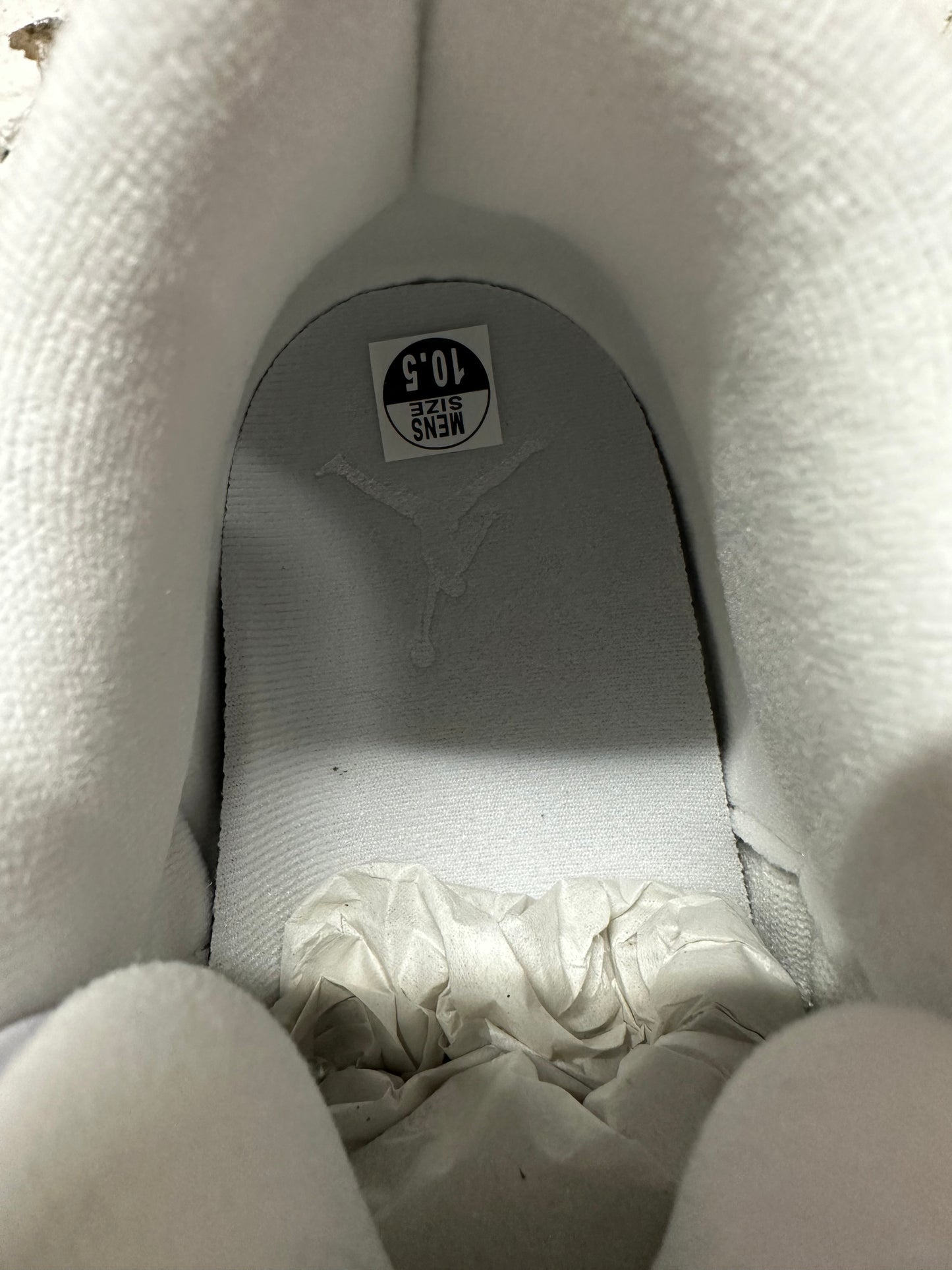 Air Jordan 3 Pure Money Sz 10.5 DS