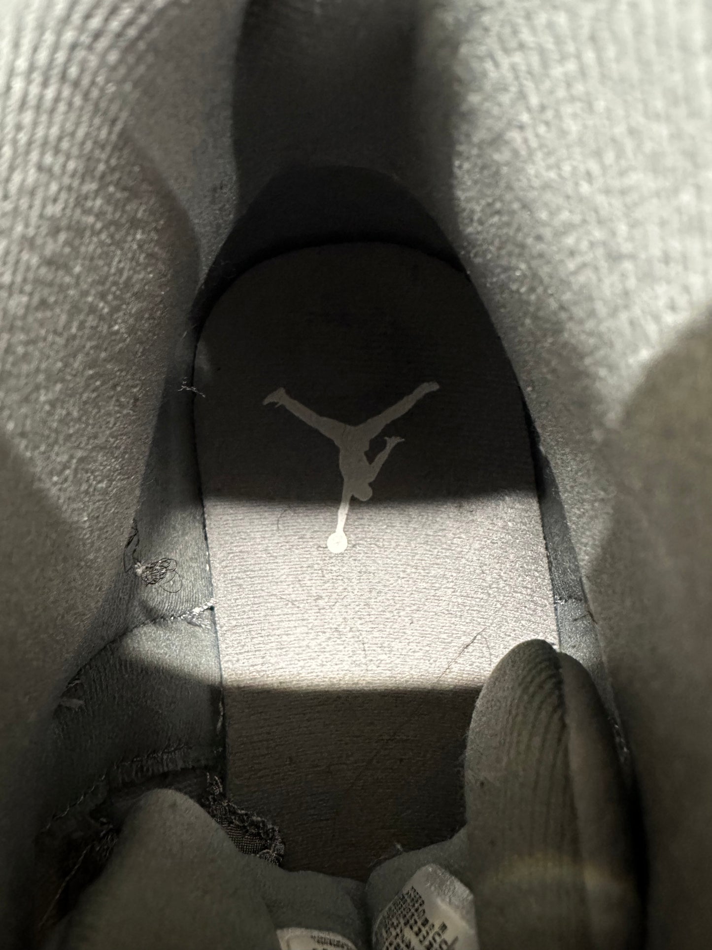 Air Jordan 12 Stealth Sz 10.5