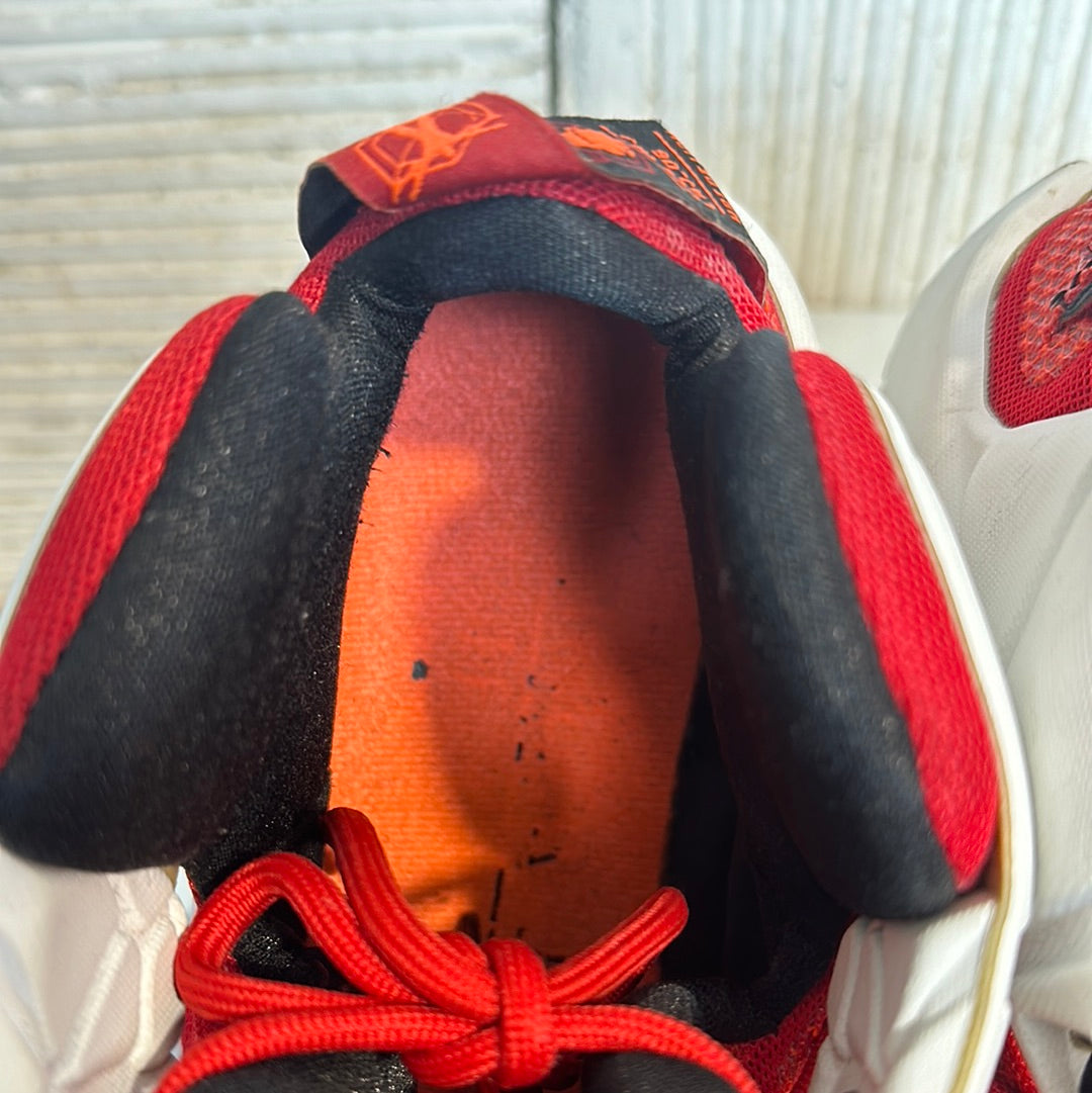 Nike LeBron 12 Heart of a Lion Sz 12