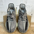Yeezy 350 Zyon Sz 10