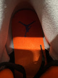 Air Jordan 3 Court Purple Sz 9.5