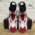 Air Jordan 6 Carmine (2021) Sz 10 DS