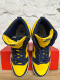 Nike Dunk High Michigan (2016) Sz 10.5