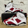 Air Jordan 6 Carmine (2021) Sz 8.5