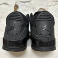 Air Jordan 3 Starfish Sz 13 (14.5W)