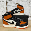 Air Jordan 1 High Shattered Backboard (2025) Sz 9 DS