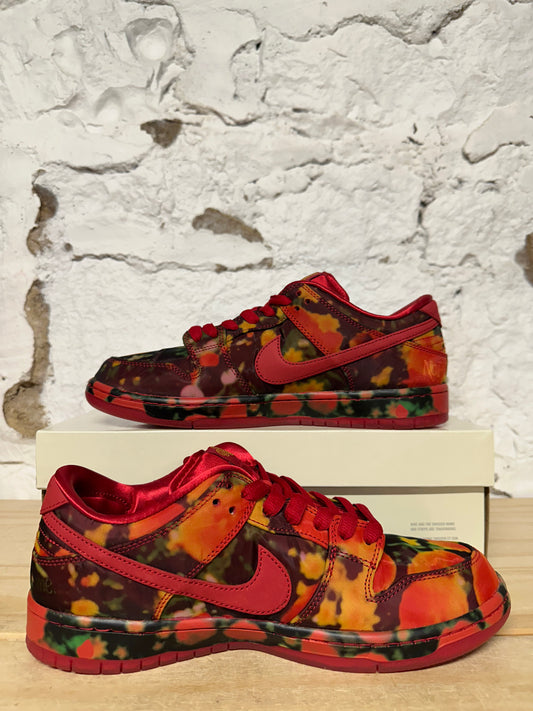 Nike SB Dunk Low Wizard Of Oz Poppy Sz 9.5 DS