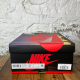 Air Jordan 1 Skyline Sz 10 DS