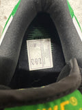 Nike SB Dunk Low Bucks Sz 9 DS