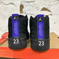 Air Jordan 12 Dark Concord Sz 8.5