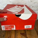Nike Dunk High Syracuse Sz 11.5 DS