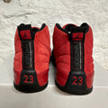 Air Jordan 12 Reverse Flu Game Sz 8.5