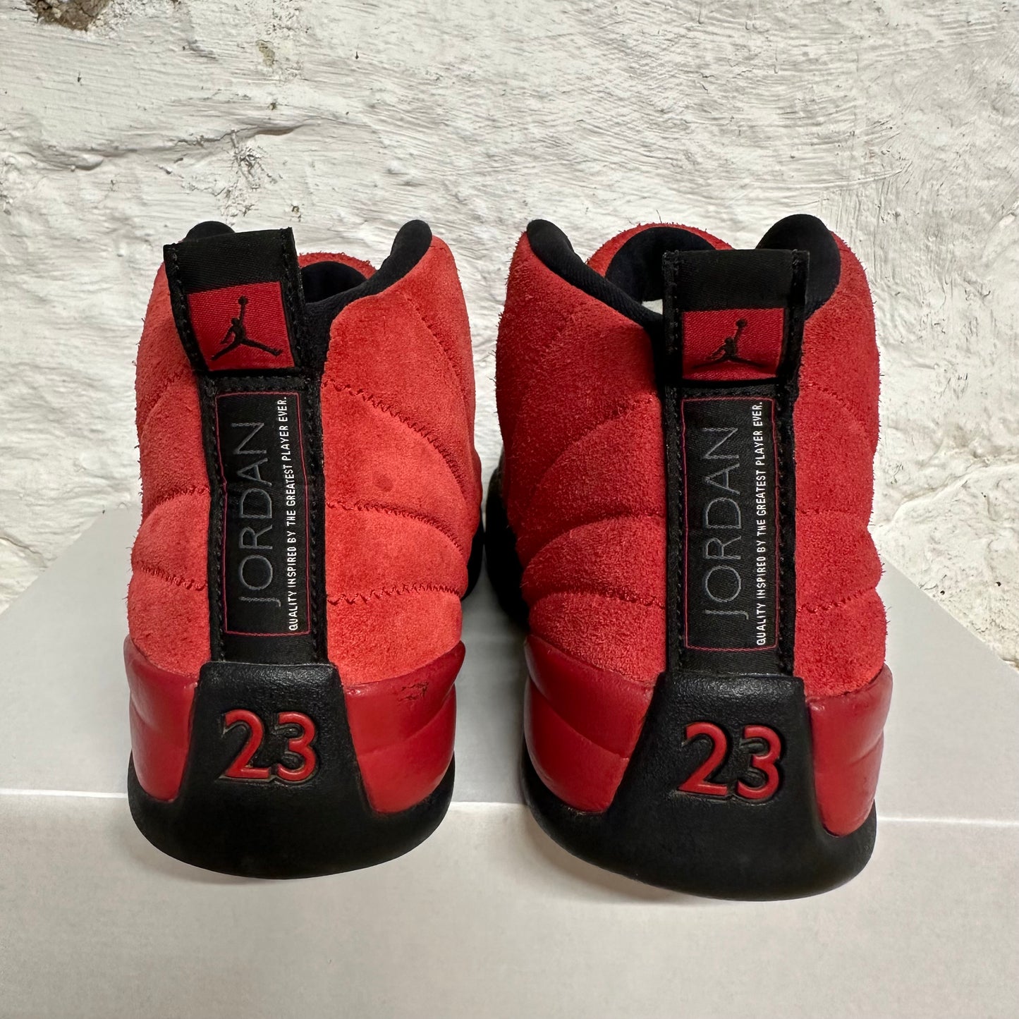 Air Jordan 12 Reverse Flu Game Sz 8.5