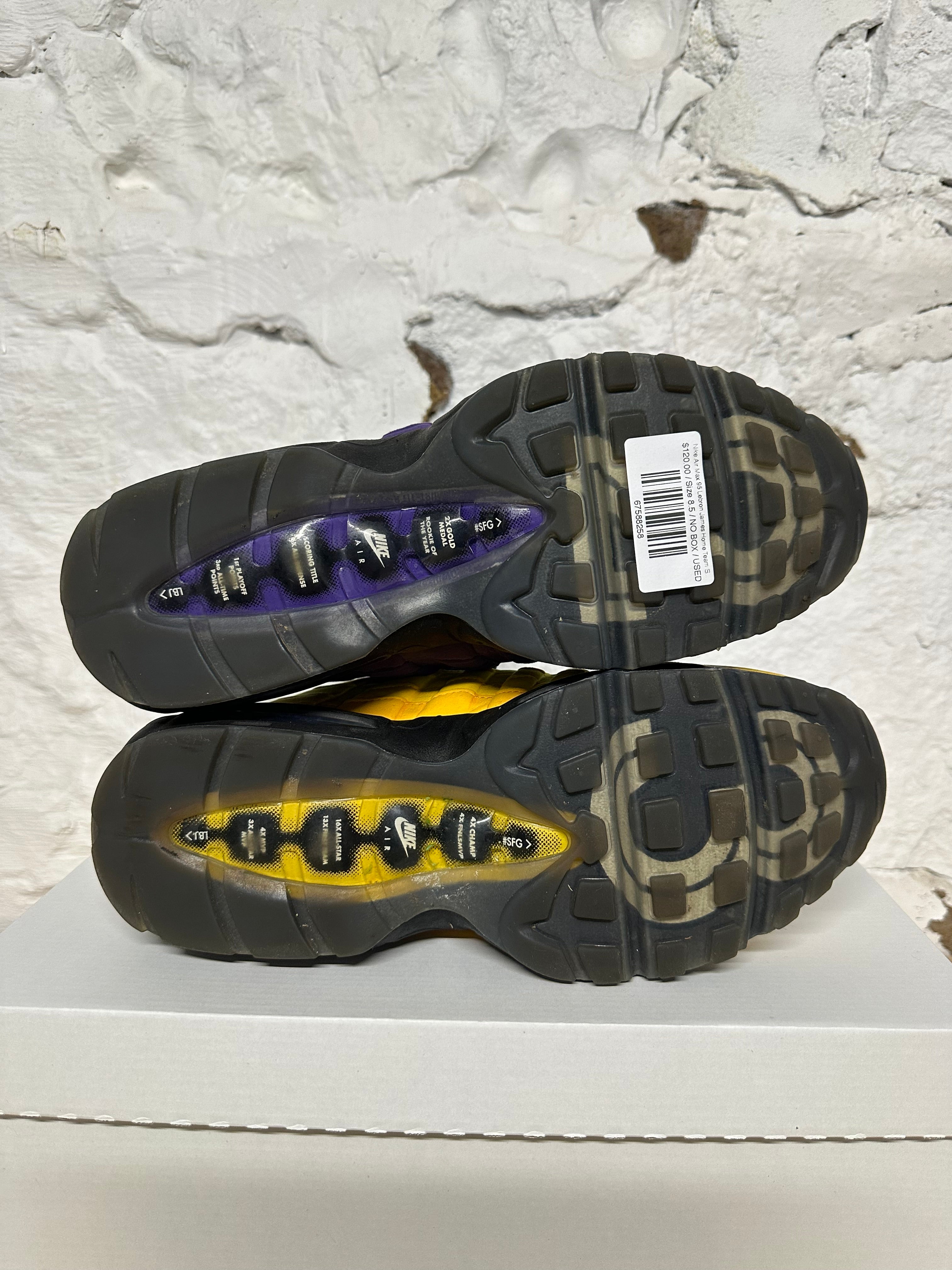 Nike Air Max 95 LeBron James Home Team Sz 8.5 – The Gallery Online