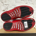Air Jordan 12 Cherry Sz 9.5