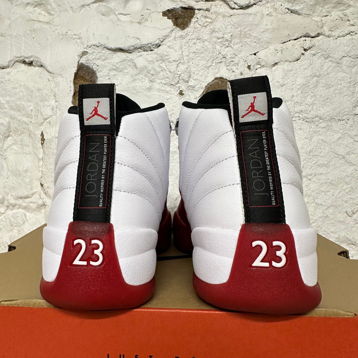 Air Jordan 12 Cherry (2023) Sz 9.5 DS