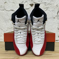 Air Jordan 12 Cherry (2023) Sz 9.5 DS