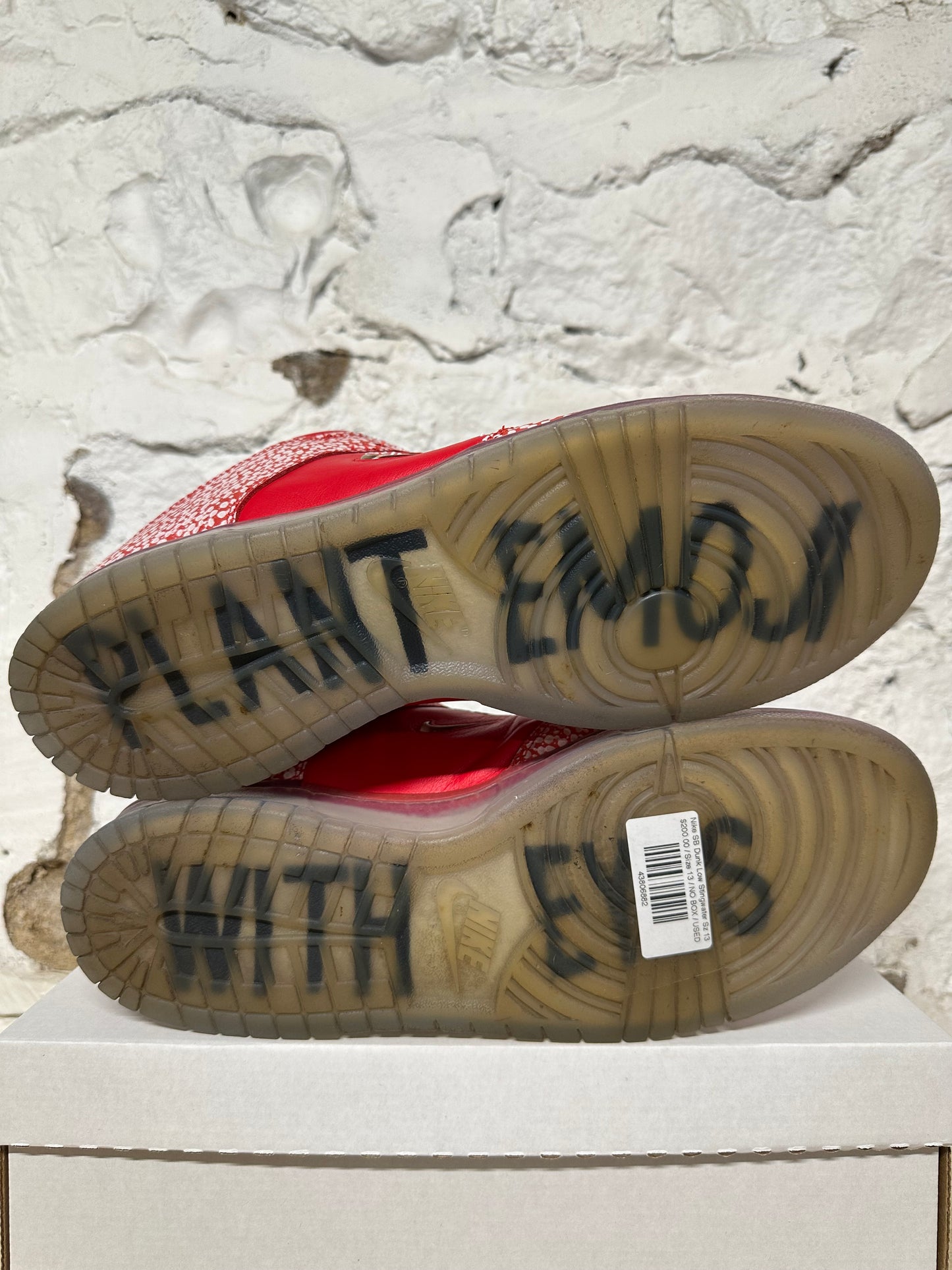 Nike SB Dunk Low Stingwater Sz 13