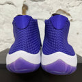 Air Jordan Future Dark Concord Sz 10.5 DS