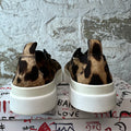 Dolce Gabbana Cheetah Print Gommato White Sneaker Sz 10 (43)