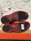 Air Jordan 12 Flu Game Sz 10