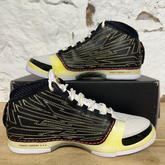 Air Jordan 23 Titan Sz 10