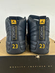 Air Jordan 12 Black Taxi Sz 10.5