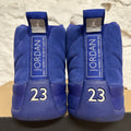 Air Jordan 12 Deep Royal Blue Sz 12