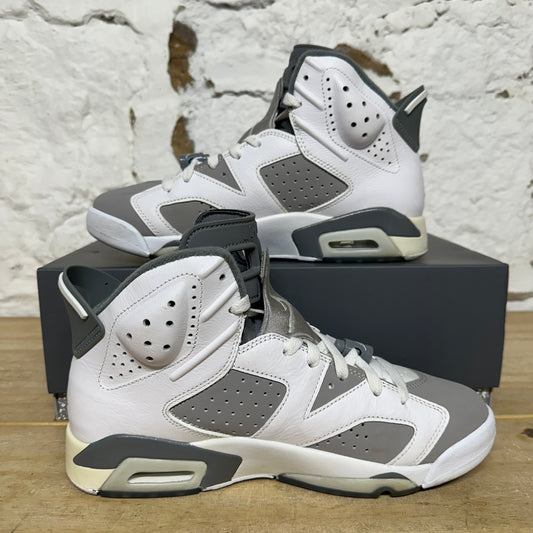 Air Jordan 6 Cool Grey Sz 8